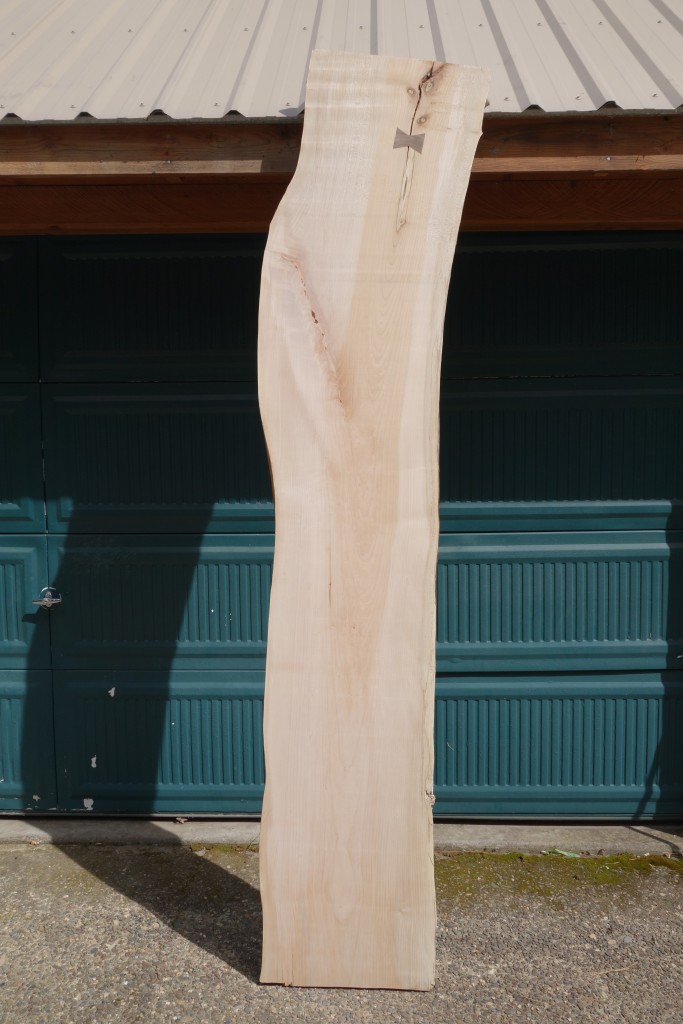 Big Leaf Maple Table Slab FrisonLogue Hardwoods