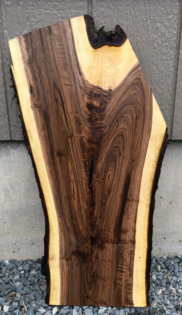 Walnut Wood Slab 27 x 13 x 1