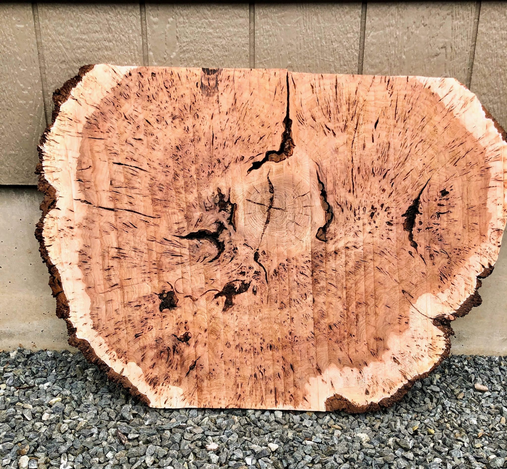 Elm Burl Wood FrisonLogue Hardwoods