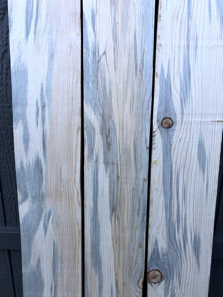 Blue Stain Pine Lumber FrisonLogue Hardwoods