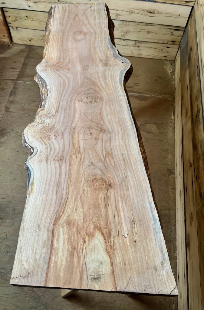 Elm kiln-dried wood slab — Live Edge Hardwoods