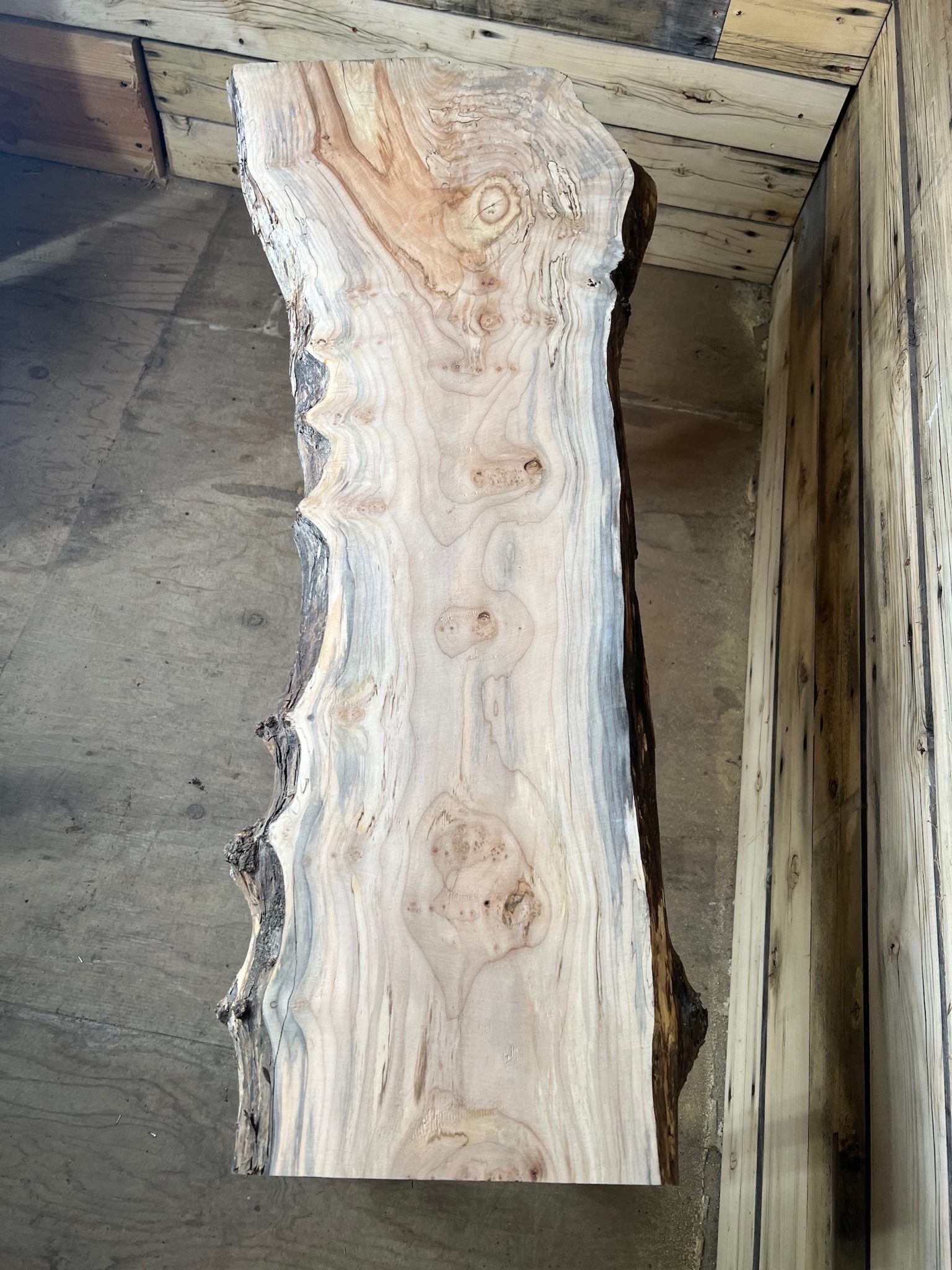 Maple Wood Slab Live Edge Kiln Dried FrisonLogue Hardwoods