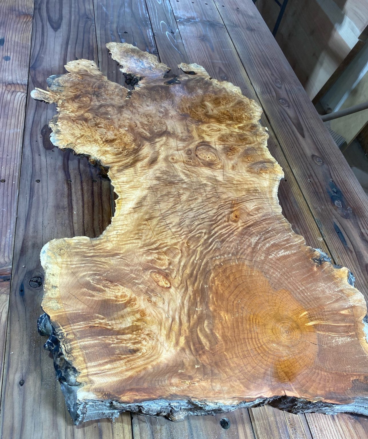 Maple Burl Slab Live Edge Kiln Dried FrisonLogue Hardwoods